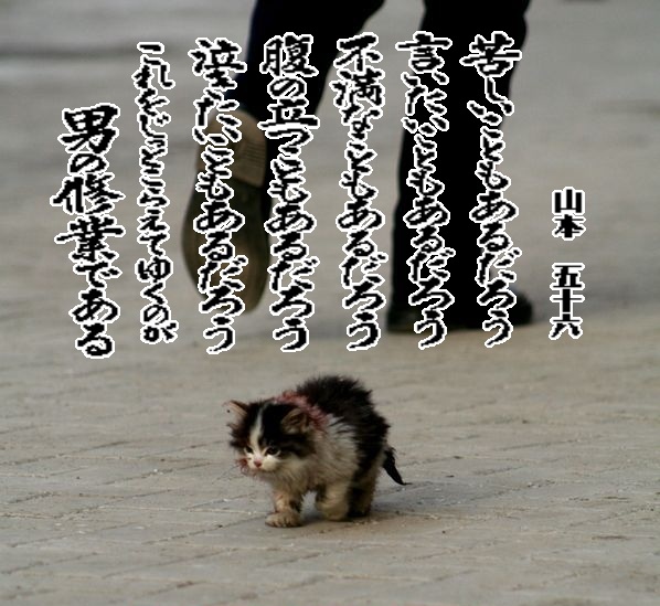 D5E85F27-FBB8-40D6-9CF6-A86612E34EB6.jpeg