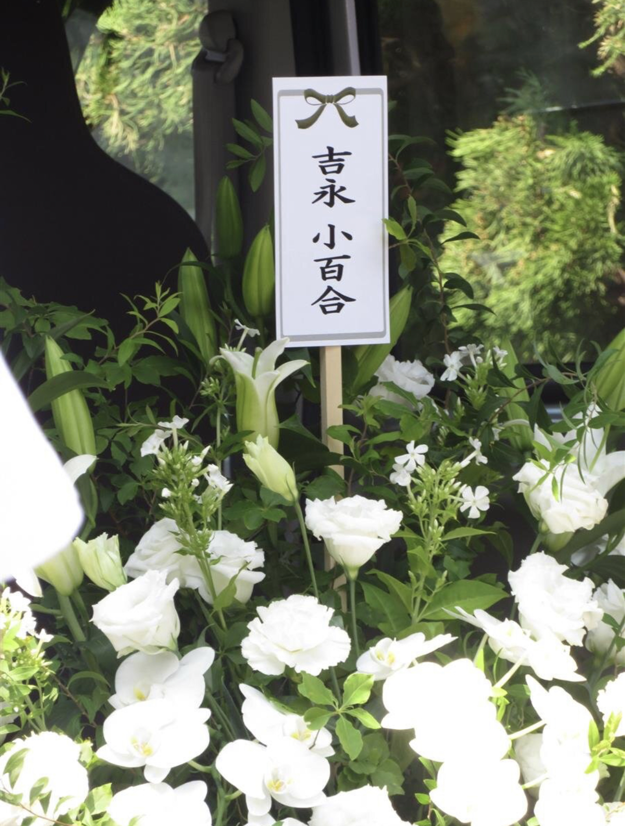 06.jpg