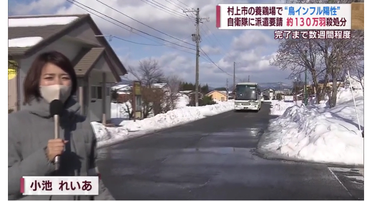2C1EBD92-3943-4F40-BB6A-B6EE9888DEC8.jpeg