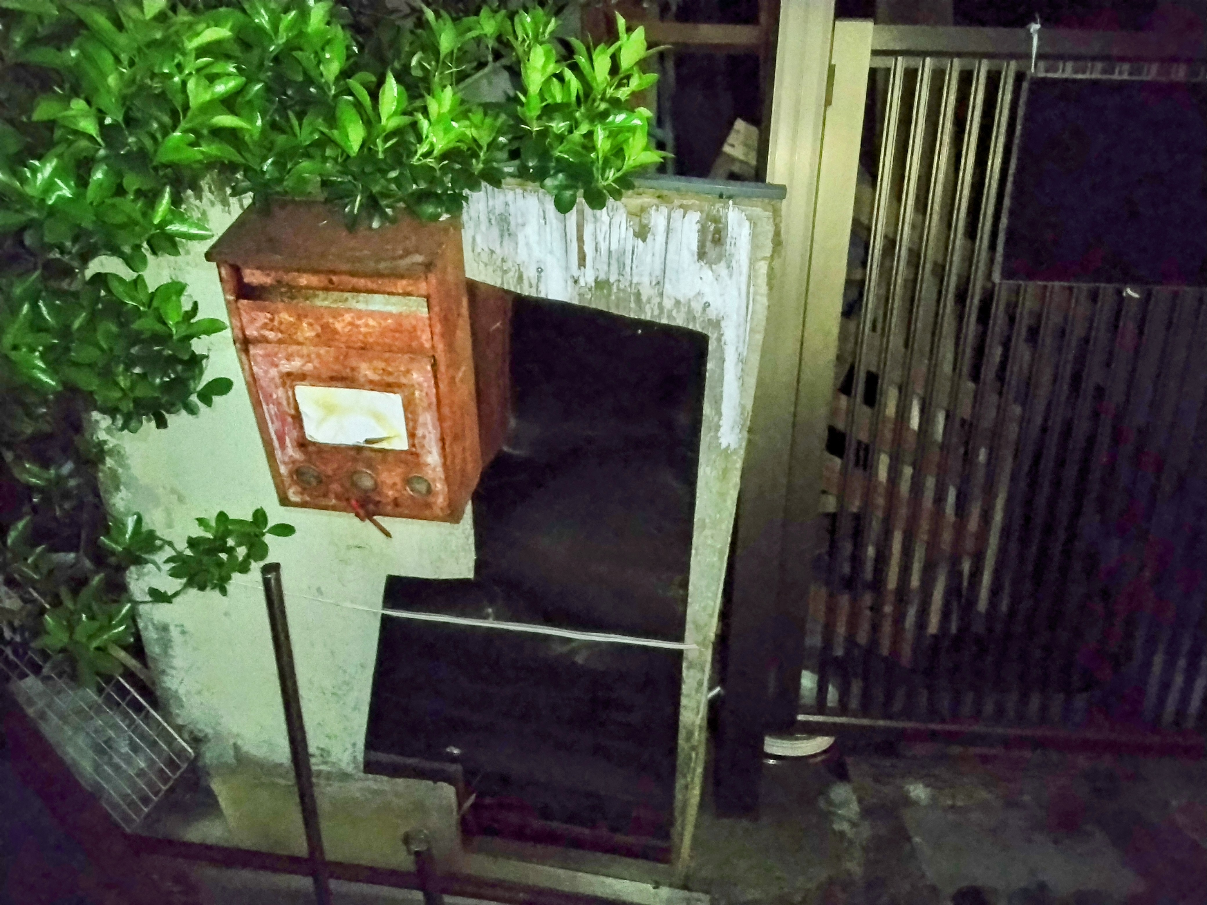 s2.jpg