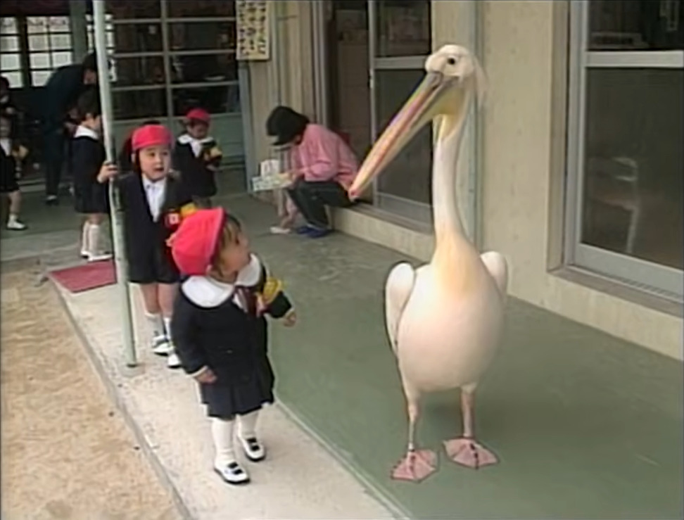 s.jpg